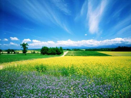 有深意好听的游戏名字 (有趣的游戏名字)