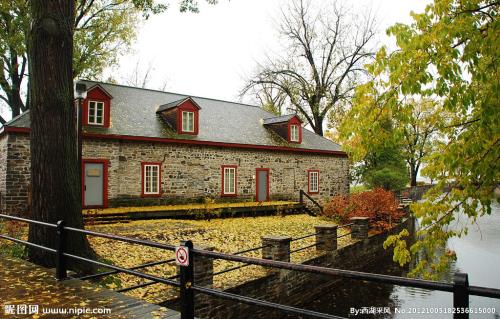 2021年日历全年表 (2021年全部电视剧)