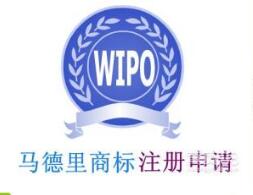 菏泽市商标国际注册工作会召开