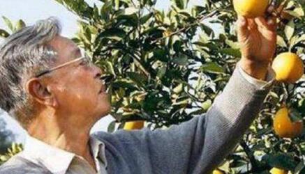 褚时健走了！516266717484……一串数字概括了他的一生