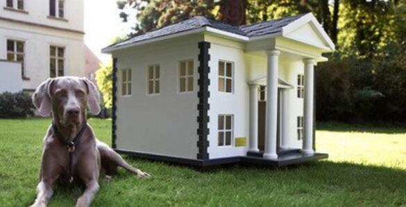 狗窝商标注册属于哪一类?