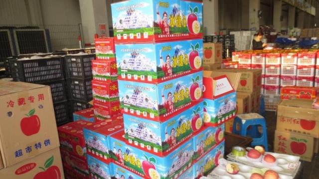 上海曝光多起侵权违法案件！