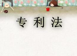 一品知识产权解析：什么是专利实质审查