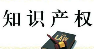 助推旅游业高质量发展 海南旅游人呼吁商标保护