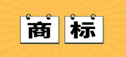 国知局公布2019年1-12月专利、商标、地理标志等统计数据